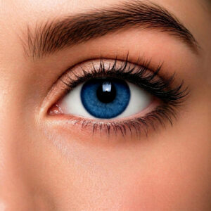 Bassia Blue