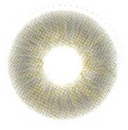 Gray lens swatch