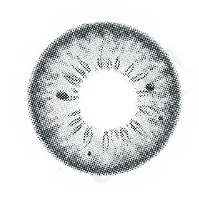 Gray lens swatch